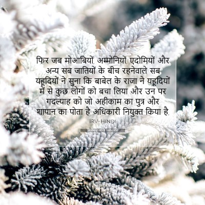 Picture 07 - यिर्मयाह 40:11 HINIRV - फिर जब मोआबियों, - Bible Verse Picture