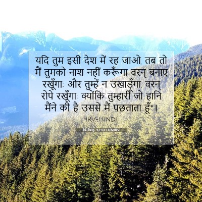 Picture 07 - यिर्मयाह 42:10 HINIRV - यदि तुम इसी देश में - Bible Verse Picture