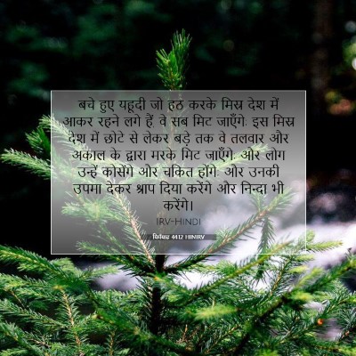 Picture 07 - यिर्मयाह 44:12 HINIRV - बचे हुए यहूदी जो हठ - Bible Verse Picture