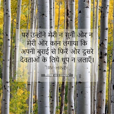 Picture 07 - यिर्मयाह 44:5 HINIRV - पर उन्होंने मेरी न - Bible Verse Picture