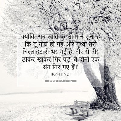 Picture 07 - यिर्मयाह 46:12 HINIRV - क्योंकि सब जाति के - Bible Verse Picture