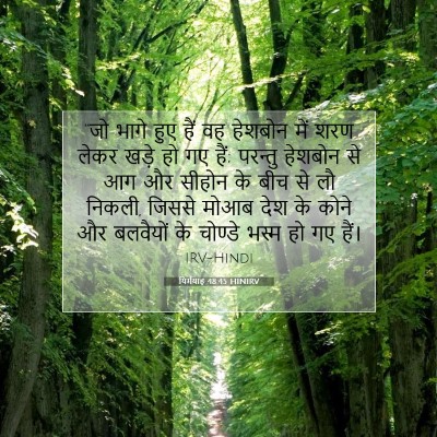Picture 07 - यिर्मयाह 48:45 HINIRV - “जो भागे हुए हैं वह - Bible Verse Picture