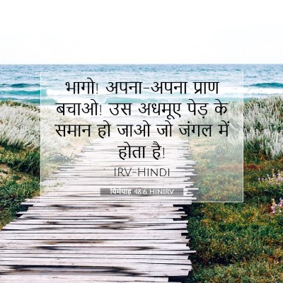 Picture 07 - यिर्मयाह 48:6 HINIRV - भागो! अपना-अपना - Bible Verse Picture