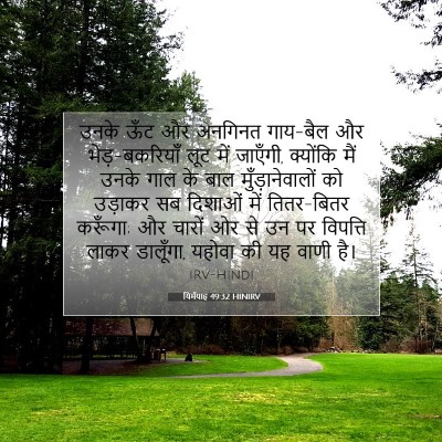 Picture 07 - यिर्मयाह 49:32 HINIRV - उनके ऊँट और अनगिनत - Bible Verse Picture