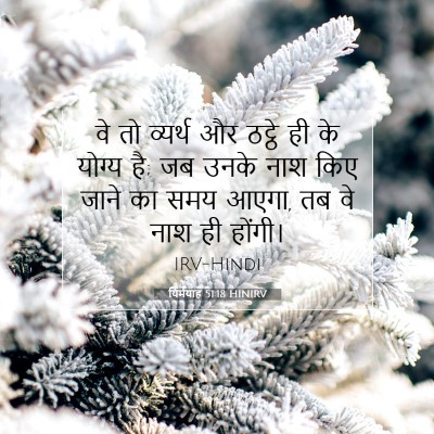 Picture 07 - यिर्मयाह 51:18 HINIRV - वे तो व्यर्थ और - Bible Verse Picture