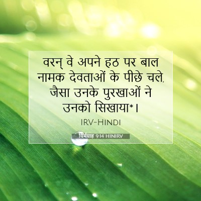 Picture 07 - यिर्मयाह 9:14 HINIRV - वरन् वे अपने हठ पर - Bible Verse Picture