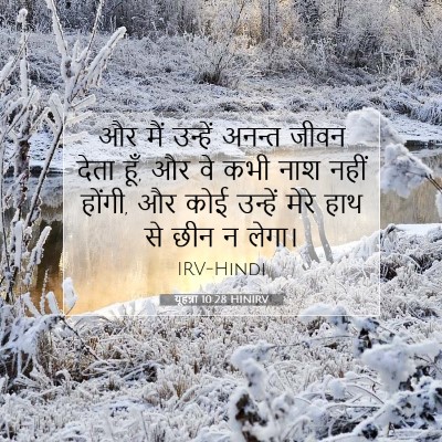 Picture 07 - यूहन्ना 10:28 HINIRV - और मैं उन्हें - Bible Verse Picture