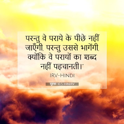 Picture 07 - यूहन्ना 10:5 HINIRV - परन्तु वे पराये के - Bible Verse Picture