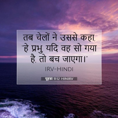 Picture 07 - यूहन्ना 11:12 HINIRV - तब चेलों ने उससे - Bible Verse Picture