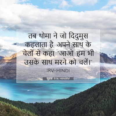 Picture 07 - यूहन्ना 11:16 HINIRV - तब थोमा ने जो - Bible Verse Picture
