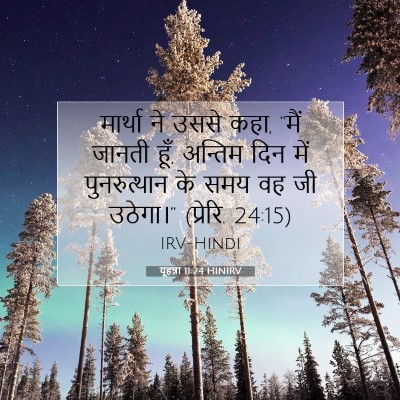 Picture 07 - यूहन्ना 11:24 HINIRV - मार्था ने उससे कहा, - Bible Verse Picture