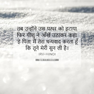 Picture 07 - यूहन्ना 11:41 HINIRV - तब उन्होंने उस - Bible Verse Picture
