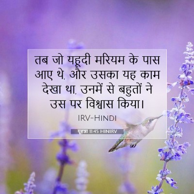 Picture 07 - यूहन्ना 11:45 HINIRV - तब जो यहूदी मरियम - Bible Verse Picture