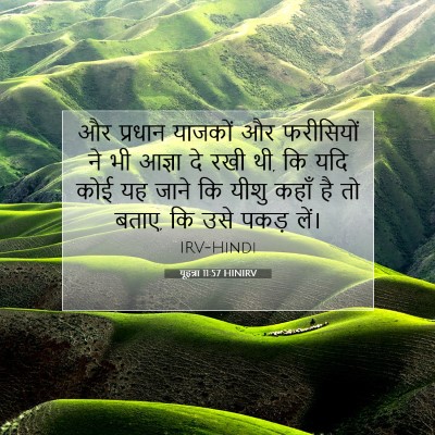 Picture 07 - यूहन्ना 11:57 HINIRV - और प्रधान याजकों - Bible Verse Picture