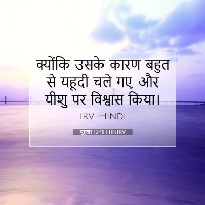 Picture 07 - यूहन्ना 12:11 HINIRV - क्योंकि उसके कारण - Bible Verse Picture
