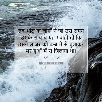 Picture 07 - यूहन्ना 12:17 HINIRV - तब भीड़ के लोगों ने - Bible Verse Picture
