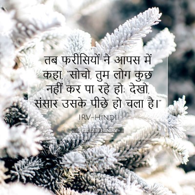 Picture 07 - यूहन्ना 12:19 HINIRV - तब फरीसियों ने आपस - Bible Verse Picture
