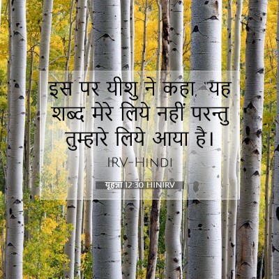 Picture 07 - यूहन्ना 12:30 HINIRV - इस पर यीशु ने कहा, - Bible Verse Picture