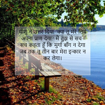 Picture 07 - यूहन्ना 13:38 HINIRV - यीशु ने उत्तर दिया, - Bible Verse Picture