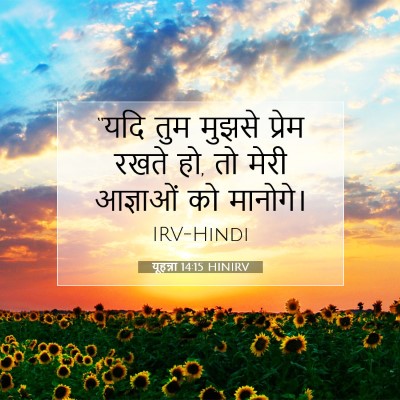 Picture 07 - यूहन्ना 14:15 HINIRV - “यदि तुम मुझसे - Bible Verse Picture