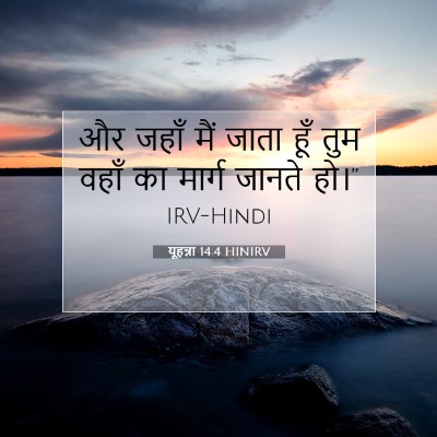 Picture 07 - यूहन्ना 14:4 HINIRV - और जहाँ मैं जाता - Bible Verse Picture