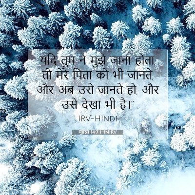 Picture 07 - यूहन्ना 14:7 HINIRV - यदि तुम ने मुझे - Bible Verse Picture