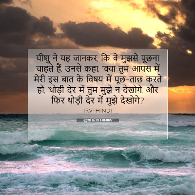 Picture 07 - यूहन्ना 16:19 HINIRV - यीशु ने यह जानकर, - Bible Verse Picture