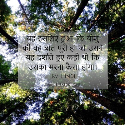 Picture 07 - यूहन्ना 18:32 HINIRV - यह इसलिए हुआ, कि - Bible Verse Picture