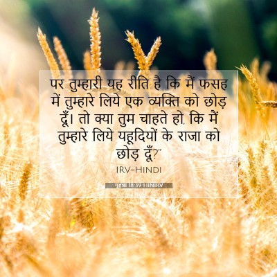 Picture 07 - यूहन्ना 18:39 HINIRV - पर तुम्हारी यह - Bible Verse Picture