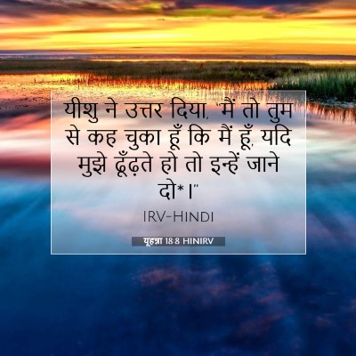 Picture 07 - यूहन्ना 18:8 HINIRV - यीशु ने उत्तर दिया, - Bible Verse Picture