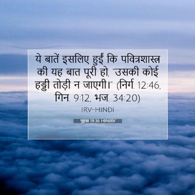 Picture 07 - यूहन्ना 19:36 HINIRV - ये बातें इसलिए - Bible Verse Picture