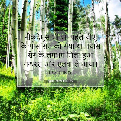 Picture 07 - यूहन्ना 19:39 HINIRV - नीकुदेमुस भी जो - Bible Verse Picture