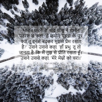Picture 07 - यूहन्ना 21:15 HINIRV - भोजन करने के बाद - Bible Verse Picture