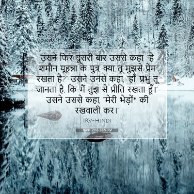 Picture 07 - यूहन्ना 21:16 HINIRV - उसने फिर दूसरी बार - Bible Verse Picture