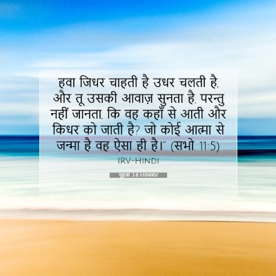 Picture 07 - यूहन्ना 3:8 HINIRV - हवा जिधर चाहती है - Bible Verse Picture