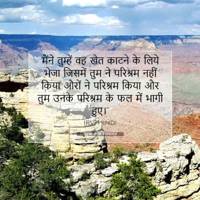 Picture 07 - यूहन्ना 4:38 HINIRV - मैंने तुम्हें वह - Bible Verse Picture