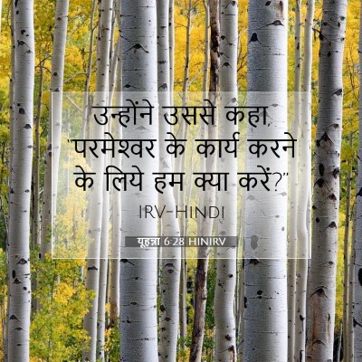 Picture 07 - यूहन्ना 6:28 HINIRV - उन्होंने उससे कहा, - Bible Verse Picture