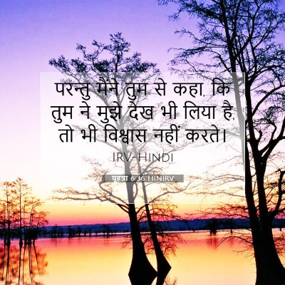 Picture 07 - यूहन्ना 6:36 HINIRV - परन्तु मैंने तुम - Bible Verse Picture