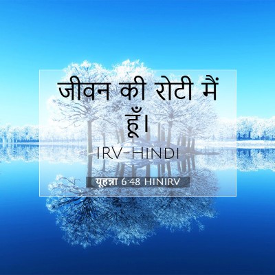 Picture 07 - यूहन्ना 6:48 HINIRV - जीवन की रोटी मैं - Bible Verse Picture