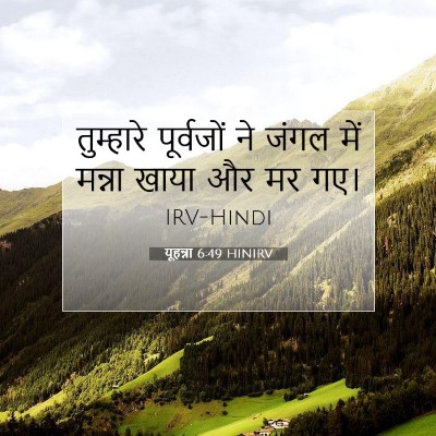 Picture 07 - यूहन्ना 6:49 HINIRV - तुम्हारे पूर्वजों - Bible Verse Picture