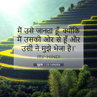 Picture 07 - यूहन्ना 7:29 HINIRV - मैं उसे जानता हूँ; - Bible Verse Picture