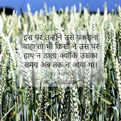 Picture 07 - यूहन्ना 7:30 HINIRV - इस पर उन्होंने उसे - Bible Verse Picture