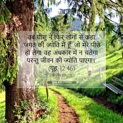 Picture 07 - यूहन्ना 8:12 HINIRV - तब यीशु ने फिर - Bible Verse Picture