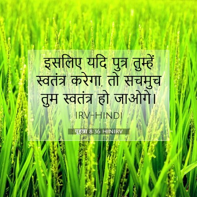 Picture 07 - यूहन्ना 8:36 HINIRV - इसलिए यदि पुत्र - Bible Verse Picture