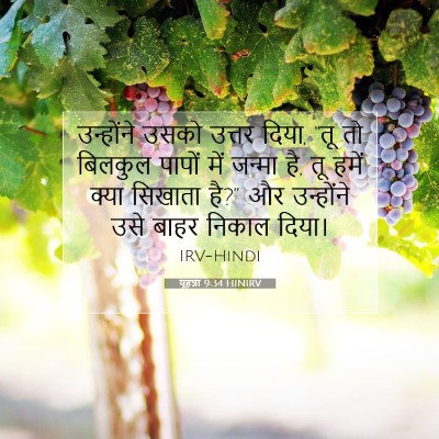 Picture 07 - यूहन्ना 9:34 HINIRV - उन्होंने उसको - Bible Verse Picture
