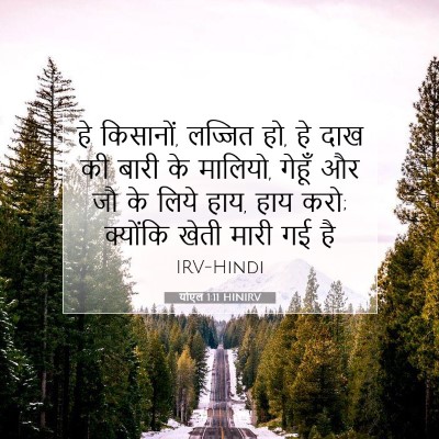 Picture 07 - योएल 1:11 HINIRV - हे किसानों, लज्जित - Bible Verse Picture