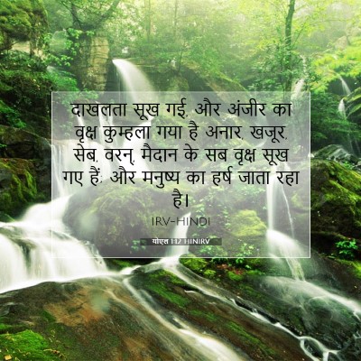 Picture 07 - योएल 1:12 HINIRV - दाखलता सूख गई, और - Bible Verse Picture