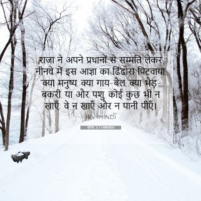 Picture 07 - योना 3:7 HINIRV - राजा ने अपने - Bible Verse Picture