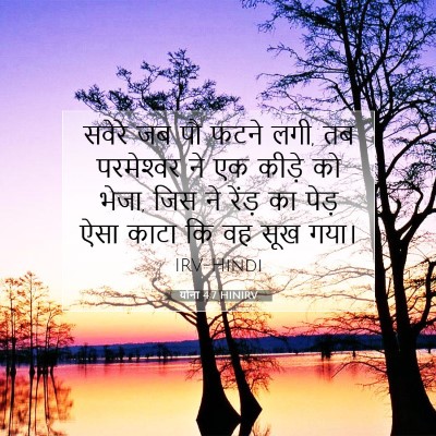Picture 07 - योना 4:7 HINIRV - सवेरे जब पौ फटने - Bible Verse Picture