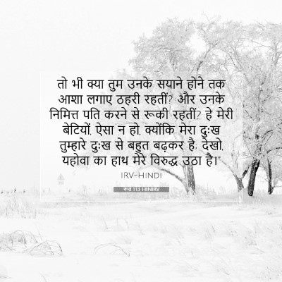 Picture 07 - रूत 1:13 HINIRV - तो भी क्या तुम उनके - Bible Verse Picture